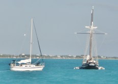 ??????????????????????