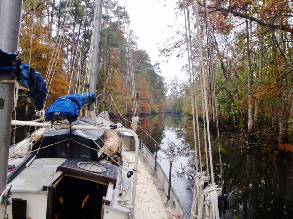 ??????????????????????