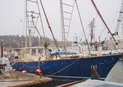 ??????????????????????